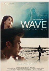 The Perfect Wave (2015) streaming