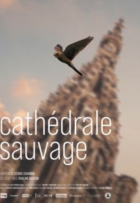 Cathédrale Sauvage (2022) streaming