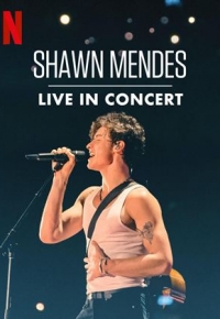 Shawn Mendes: Live In Concert (2022) streaming