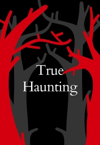 Untitled True Haunting  (2023) streaming