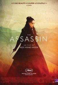 The Assassin (2016) streaming